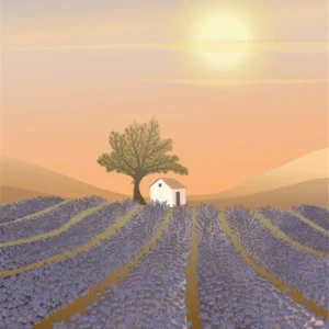 Plakat –  Lavendelmark (30×40 cm)