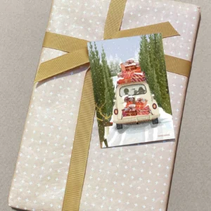 Minikort fra VISSEVASSE – Pakket til jul