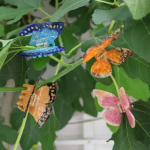 By Stær | Hårklemme – Sommerfugl