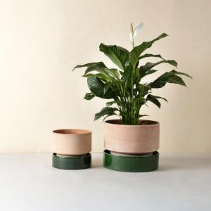 Hoff Potte | Bergs Potter – Rå Rosa (lav model)